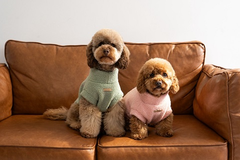 WhatsApp Image 2025-10-09 at 3.14.23 PM (1)