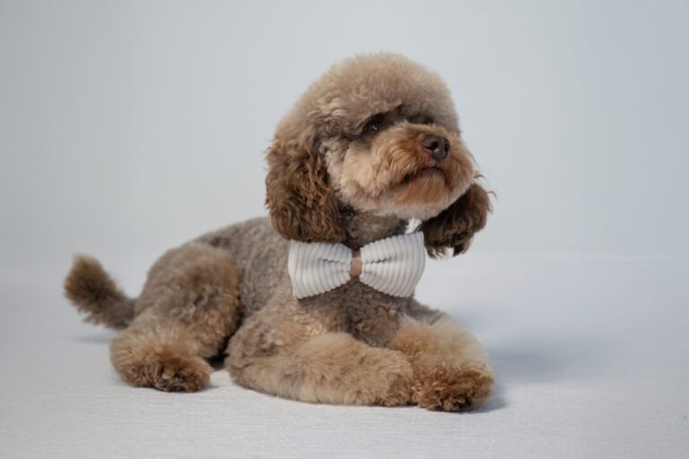 0eca6458-ccd5-45a5-85e9-faa37cd03114