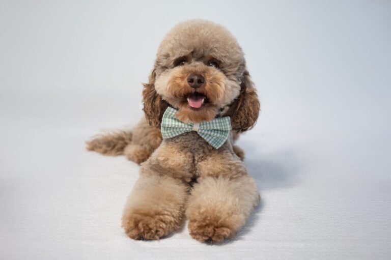 47bb31bb-5d3e-4567-8863-db88b985d598