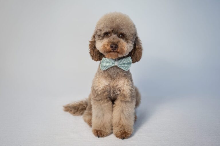 WhatsApp Image 2025-12-08 at 11.10.32 AM