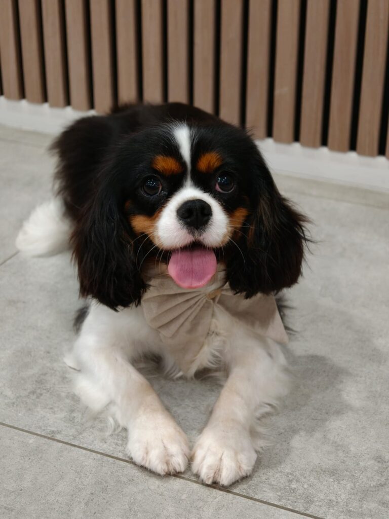 WhatsApp Image 2025-12-13 at 2.55.56 PM (2)