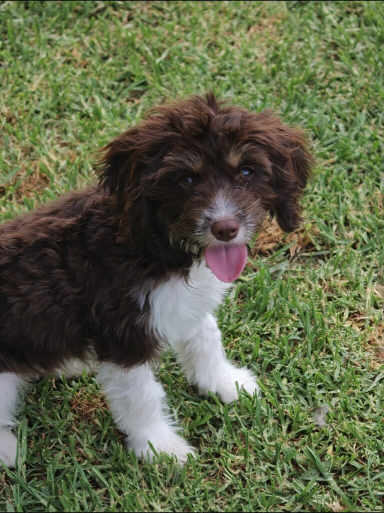 Screenshot_2026-03-02-21-25-02-98_99c04817c0de5652397fc8b56c3b3817（2）