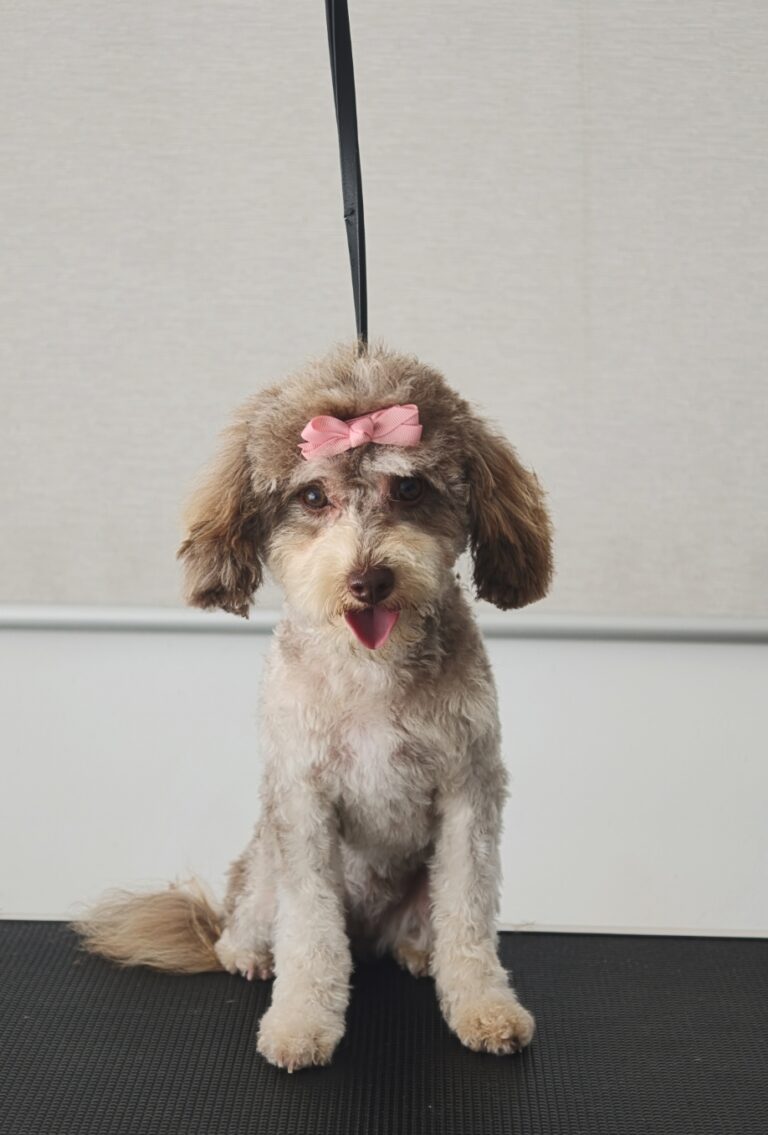 Screenshot_2026-03-02-21-26-19-71_99c04817c0de5652397fc8b56c3b3817（2）