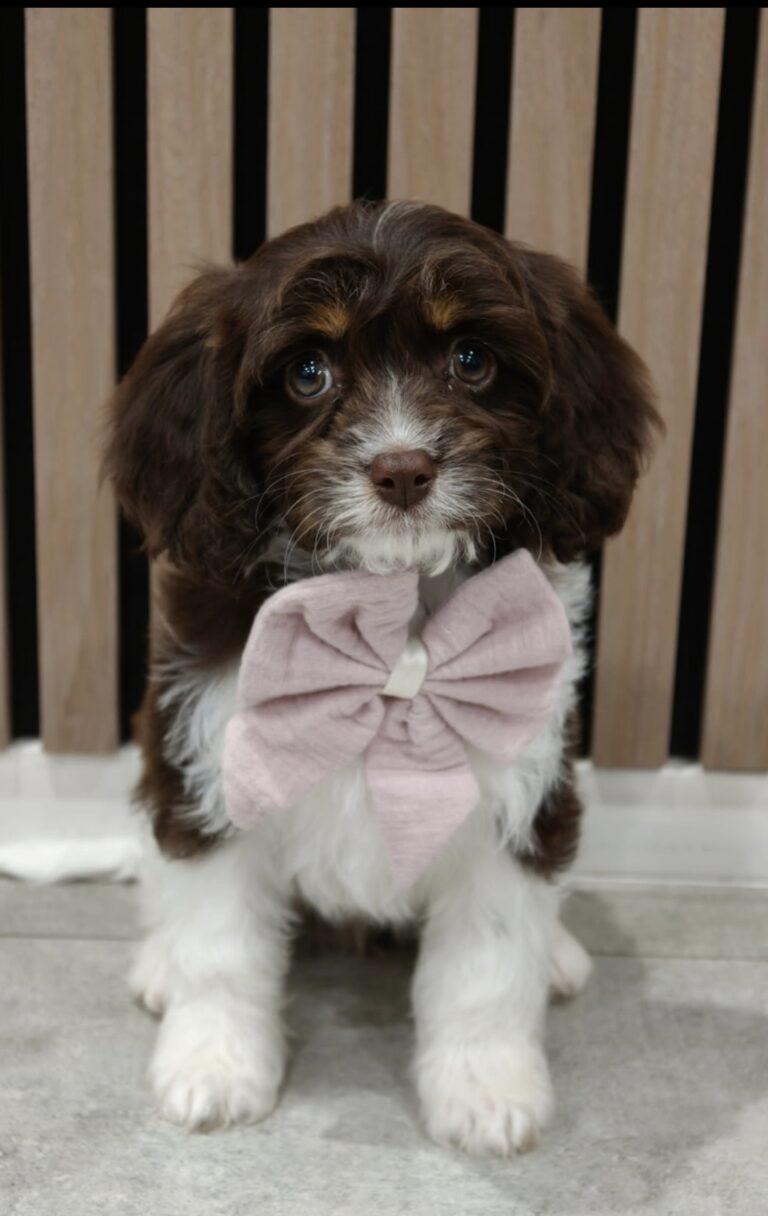 Screenshot_2026-03-02-21-26-34-39_99c04817c0de5652397fc8b56c3b3817（2）