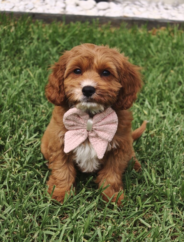 Screenshot_2026-03-02-21-44-52-10_99c04817c0de5652397fc8b56c3b3817