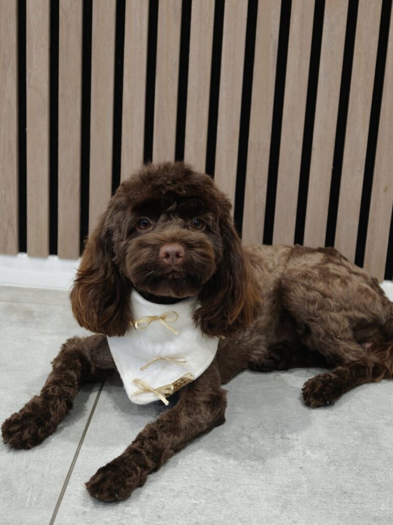 file_00000000320471fd94783efcf4601302（4）