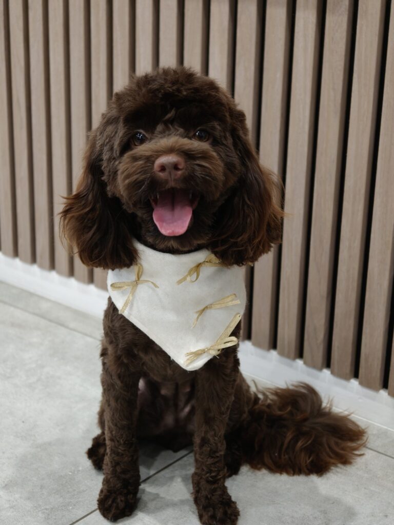 file_00000000578871fd839dcf1b17ac31ee（2）