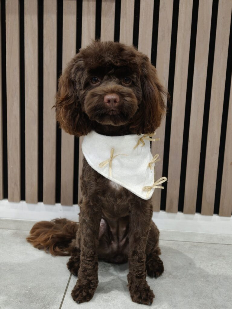 file_00000000e66471fd941ffa26b1e6ab35